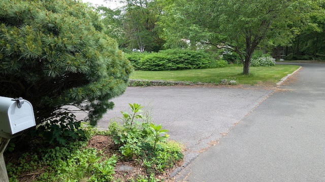 11 Twin Brooks Ln, Fairfield, CT 06824 - view of street