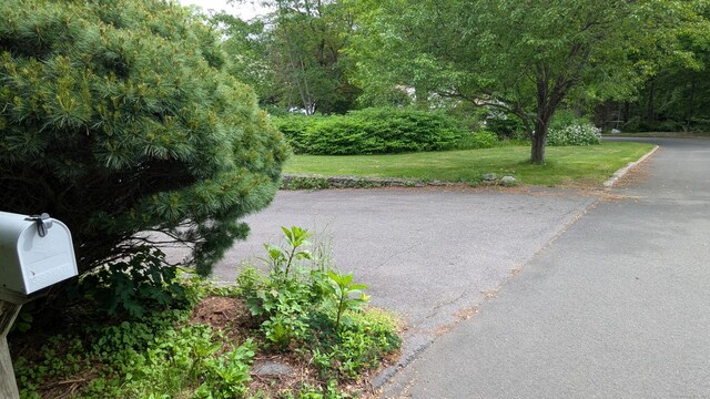 11 Twin Brooks Ln, Fairfield, CT 06824 - view of street