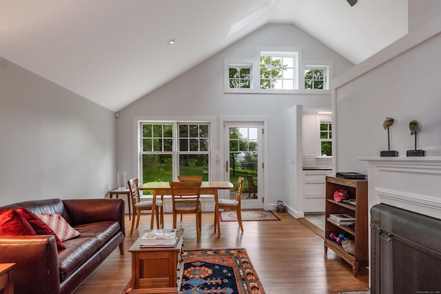24 River Rd, Deep River, CT 06417 - living room featuring high vaulted ceiling, light wood-style floors, and a ceiling fan