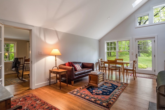 24 River Rd, Deep River, CT 06417 - living area featuring a skylight, high vaulted ceiling, and light wood-style flooring