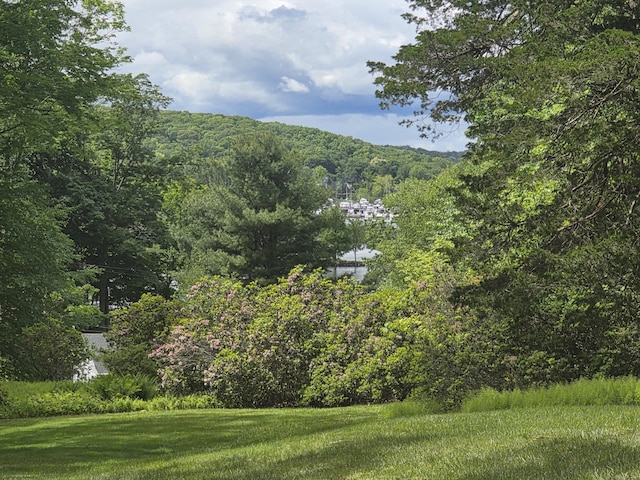 24 River Rd, Deep River, CT 06417 - mountain view featuring a heavily wooded area