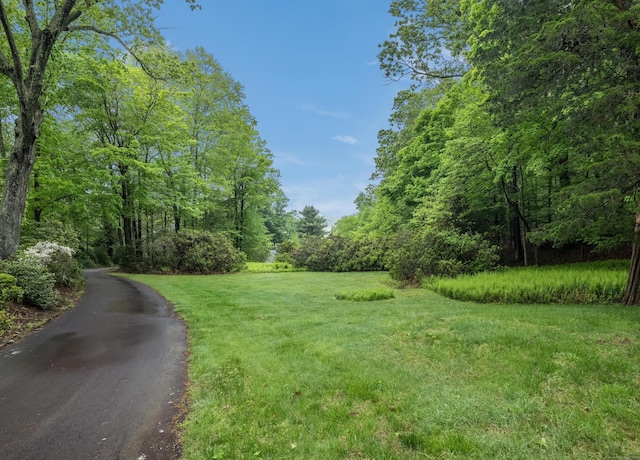 24 River Rd, Deep River, CT 06417 - view of street with a view of trees