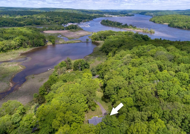 24 River Rd, Deep River, CT 06417 - view of property location featuring a large body of water and a forest