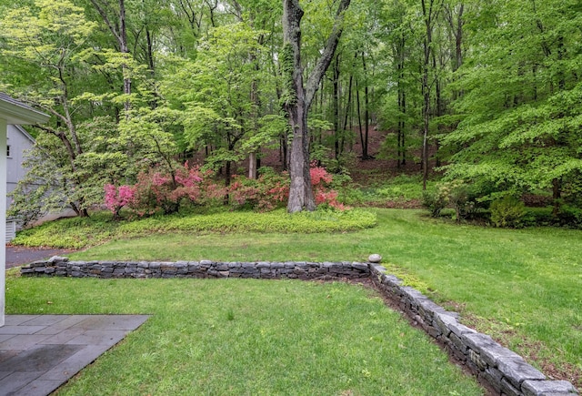 24 River Rd, Deep River, CT 06417 - view of green lawn with a view of trees