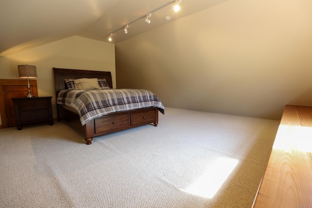 289 Woodchuck Ln, Harwinton, CT 06791 - carpeted bedroom featuring lofted ceiling and rail lighting