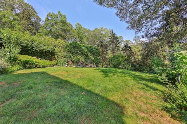 175 Stony Creek Rd, Branford, CT 06405 - photo 31