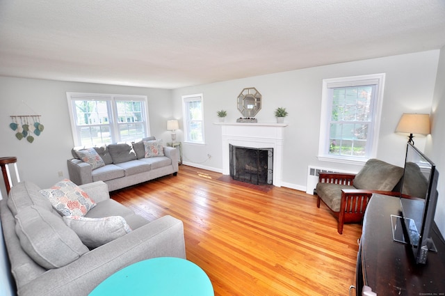 6 Lennox Ave, Windsor, CT 06095 - living area with a fireplace with flush hearth and light wood-style flooring