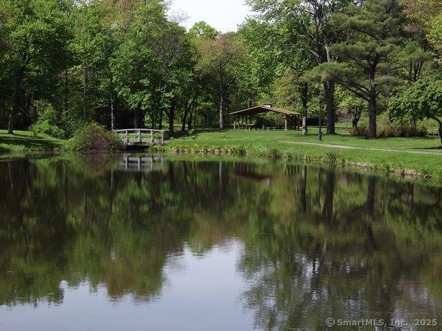 6 Lennox Ave, Windsor, CT 06095 - water view featuring a heavily wooded area