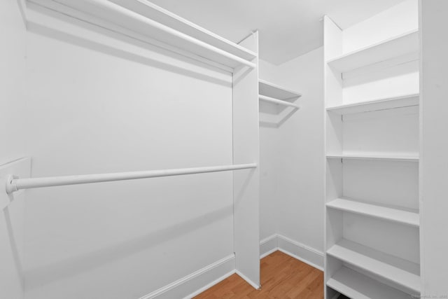 2921 Nichols Ave, Trumbull, CT 06611 - walk in closet featuring wood finished floors