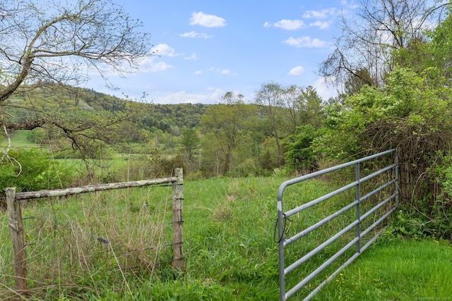 278AND282 Farnum Rd, Salisbury, CT 06039 - view of yard featuring a wooded view