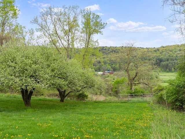 278AND282 Farnum Rd, Salisbury, CT 06039 - view of yard featuring a wooded view