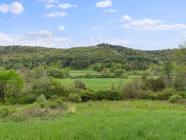 278AND282 Farnum Rd, Salisbury, CT 06039 - view of mountain background featuring a heavily wooded area