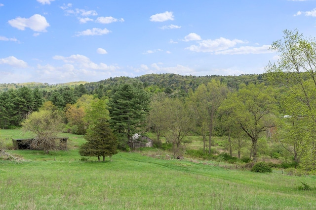 278AND282 Farnum Rd, Salisbury, CT 06039 - view of yard with a view of trees