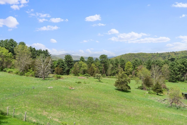 278AND282 Farnum Rd, Salisbury, CT 06039 - view of yard with a forest view and a mountain view