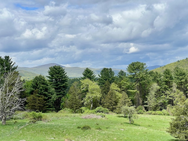 278AND282 Farnum Rd, Salisbury, CT 06039 - view of mountain background