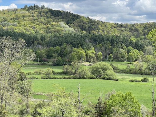278AND282 Farnum Rd, Salisbury, CT 06039 - view of green lawn featuring a forest view and a view of countryside