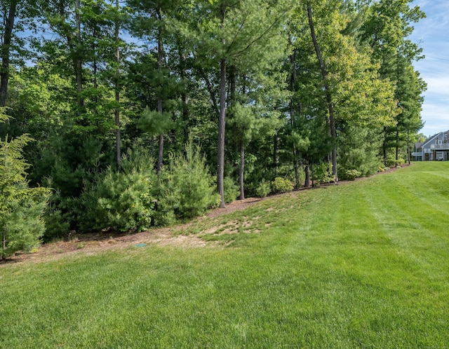 3 Prospect Rdg, Simsbury, CT 06070 - view of grassy yard