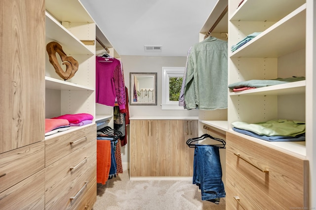 645 Prospect Ave Unit 11, West Hartford, CT 06105 - spacious closet with light carpet