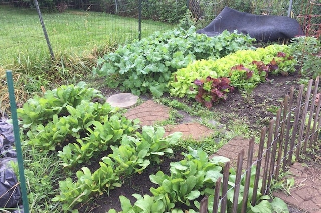62 Surf Ave, Milford, CT 06460 - view of yard featuring a vegetable garden