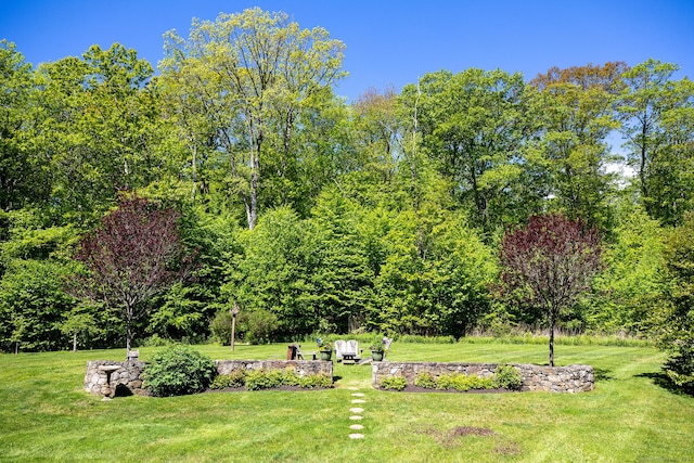 23 Anita Way, Warren, CT 06754 - view of green lawn