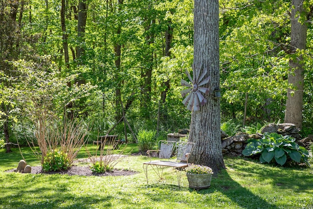 23 Anita Way, Warren, CT 06754 - view of green lawn