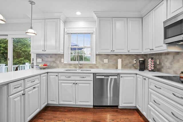 27 E Gate Rd, Danbury, CT 06811 - kitchen featuring appliances with stainless steel finishes, a sink, crown molding, plenty of natural light, and dark wood-type flooring