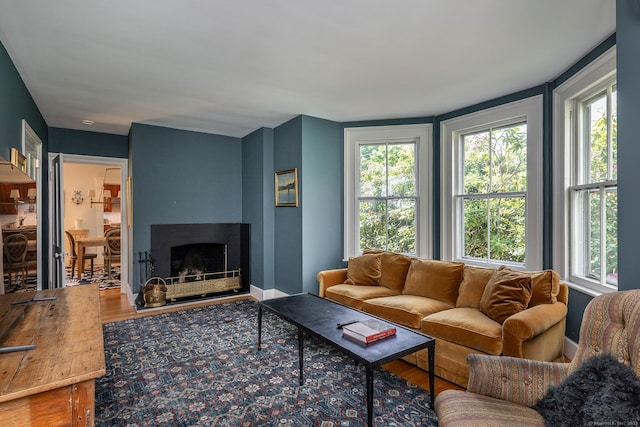 118 S St, Litchfield, CT 06759 - living room featuring wood finished floors and a fireplace with raised hearth