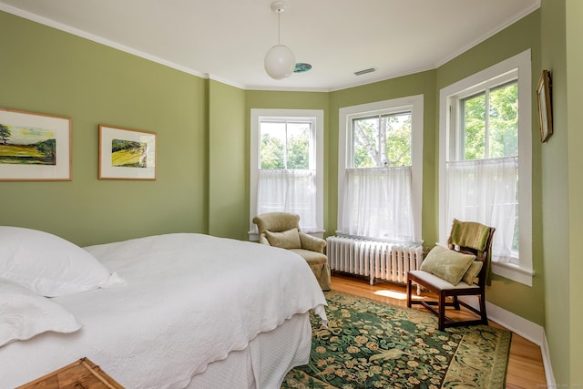 118 S St, Litchfield, CT 06759 - bedroom with radiator, wood finished floors, crown molding, and baseboards