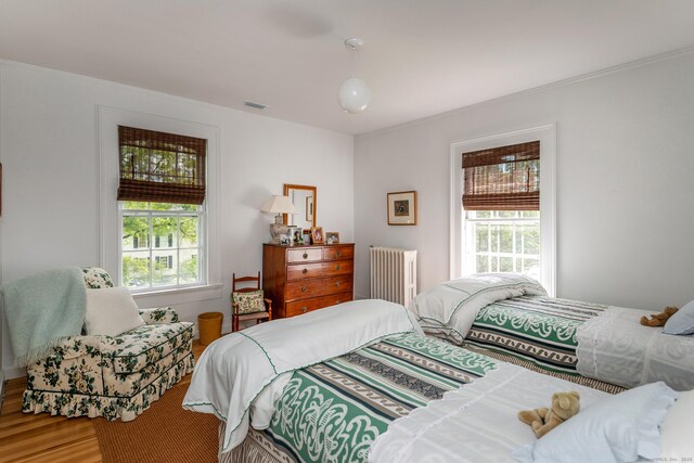 118 S St, Litchfield, CT 06759 - bedroom with radiator, multiple windows, and wood finished floors