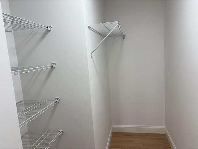 19 Race Ave, Plainville, CT 06062 - walk in closet featuring wood finished floors