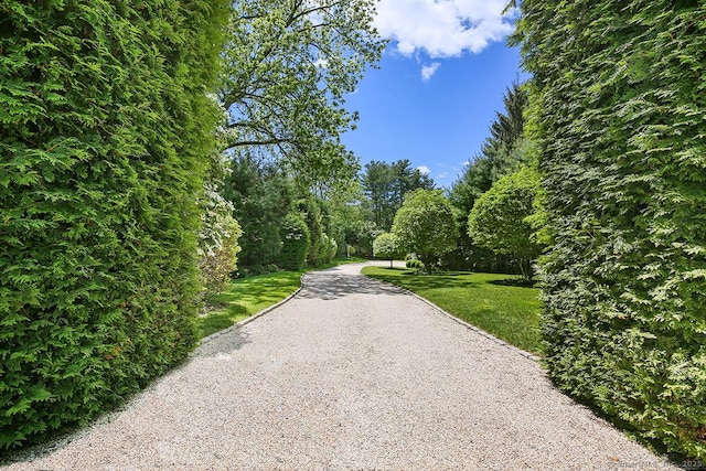 42 Morningside Dr S, Westport, CT 06880 - view of home's community featuring a yard