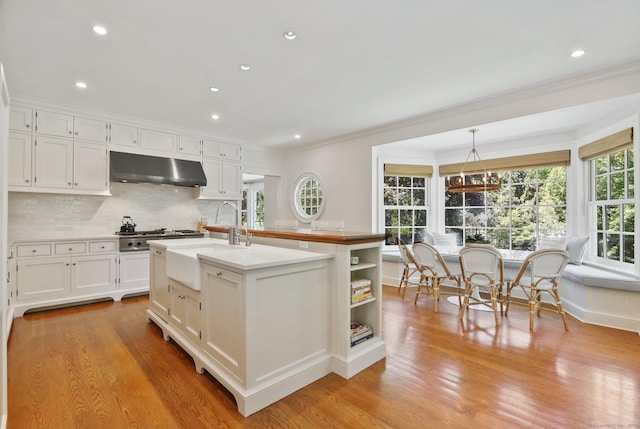 42 Morningside Dr S, Westport, CT 06880 - kitchen with under cabinet range hood, a sink, white cabinets, light wood-style flooring, and crown molding