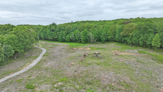 40 Caverly Mill Rd, Colchester, CT 06415