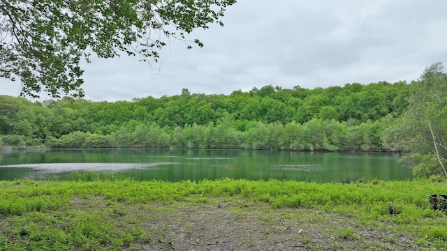 40 Caverly Mill Rd, Colchester, CT 06415