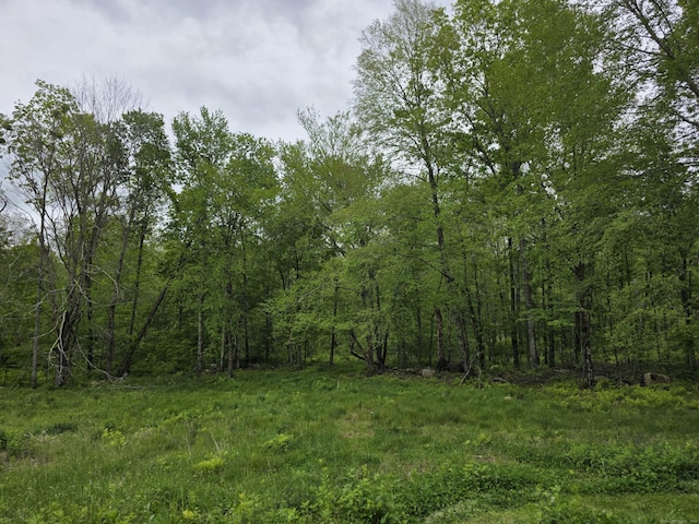 80 John Mack Rd, Hampton, CT 06247 - view of tree filled area