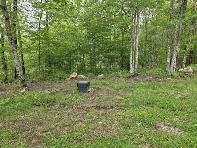 80 John Mack Rd, Hampton, CT 06247 - view of yard with a forest view