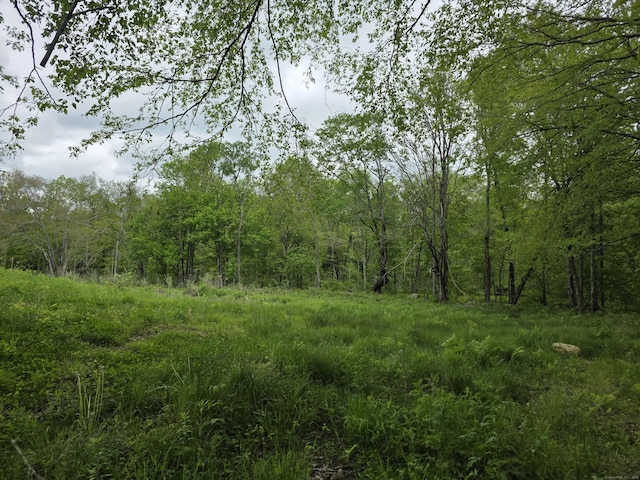 80 John Mack Rd, Hampton, CT 06247 - view of wooded area
