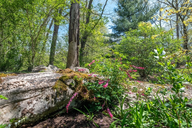 291 Peddlers Rd, Guilford, CT 06437 - view of local wilderness