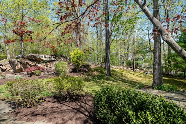 291 Peddlers Rd, Guilford, CT 06437 - view of green lawn