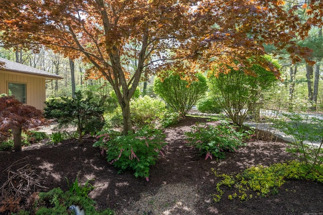 291 Peddlers Rd, Guilford, CT 06437 - view of yard