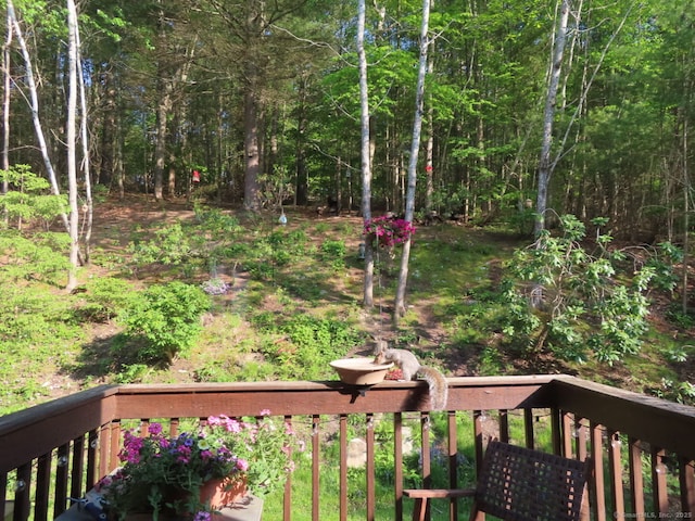 605 Whetstone Mls Unit 605, Killingly, CT 06241 - view of yard