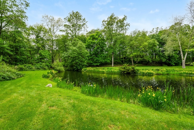 1208 Smith Ridge Rd, New Canaan, CT 06840 - view of yard featuring a water view and a forest view