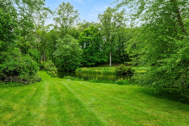 1208 Smith Ridge Rd, New Canaan, CT 06840 - view of grassy yard with a water view and a forest view