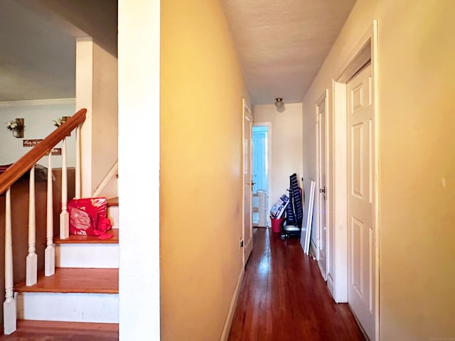 29 Hooker Rd, Bridgeport, CT 06610 - hall with wood finished floors and stairway