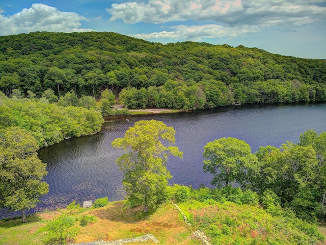 33 Homestead Rd, Ledyard, CT 06339 - water view featuring a forest