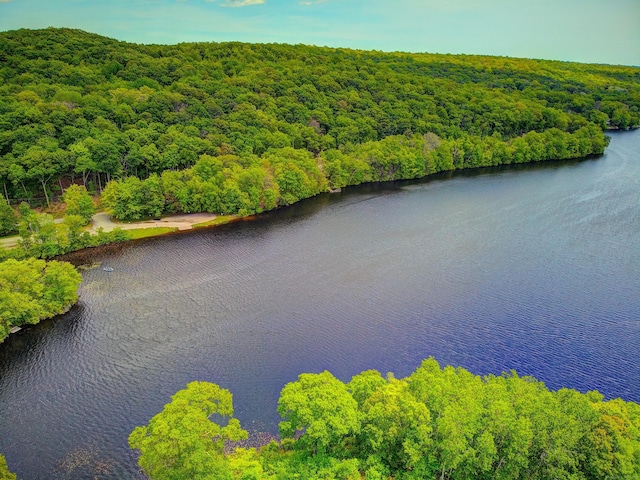 33 Homestead Rd, Ledyard, CT 06339 - aerial view of a heavily wooded area and a nearby body of water