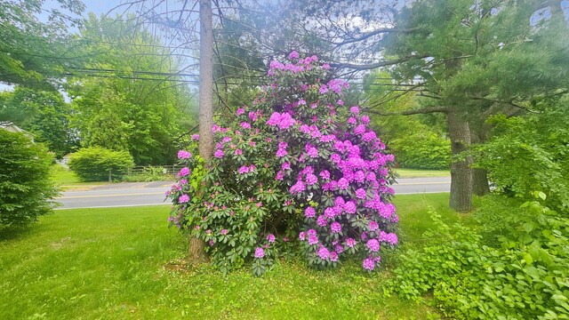 19 Weymouth Rd, Enfield, CT 06082 - view of green lawn
