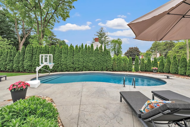 59 Ledyard Rd, West Hartford, CT 06117 - swimming pool featuring a patio and a diving board