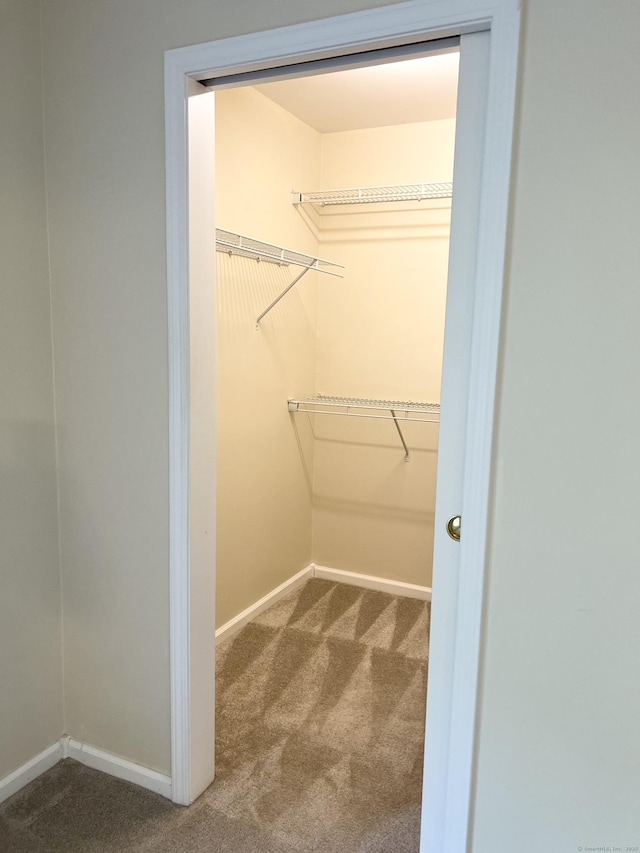 4 Cedar Grove Rd, Southington, CT 06489 - walk in closet with carpet floors