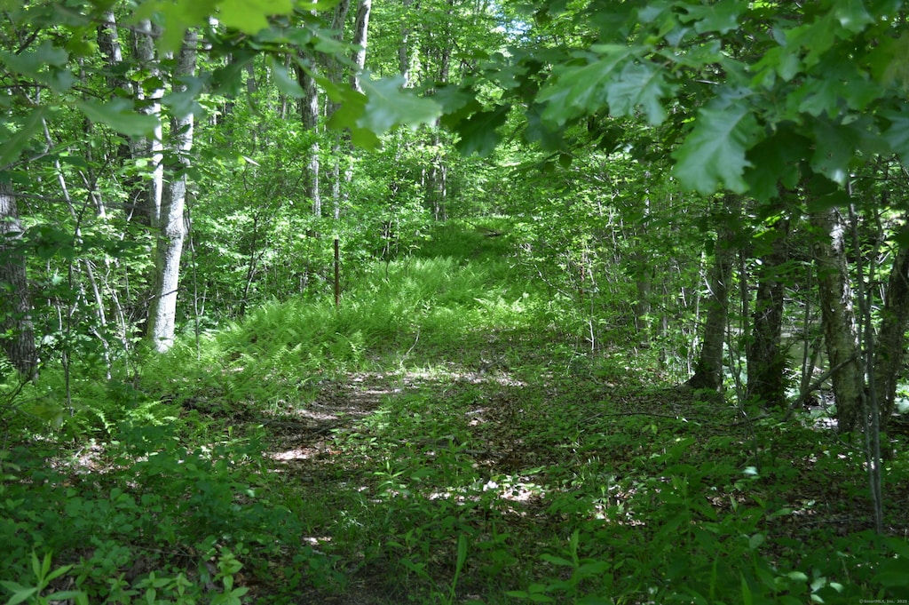 Congdon Rd, Lebanon, CT 06249